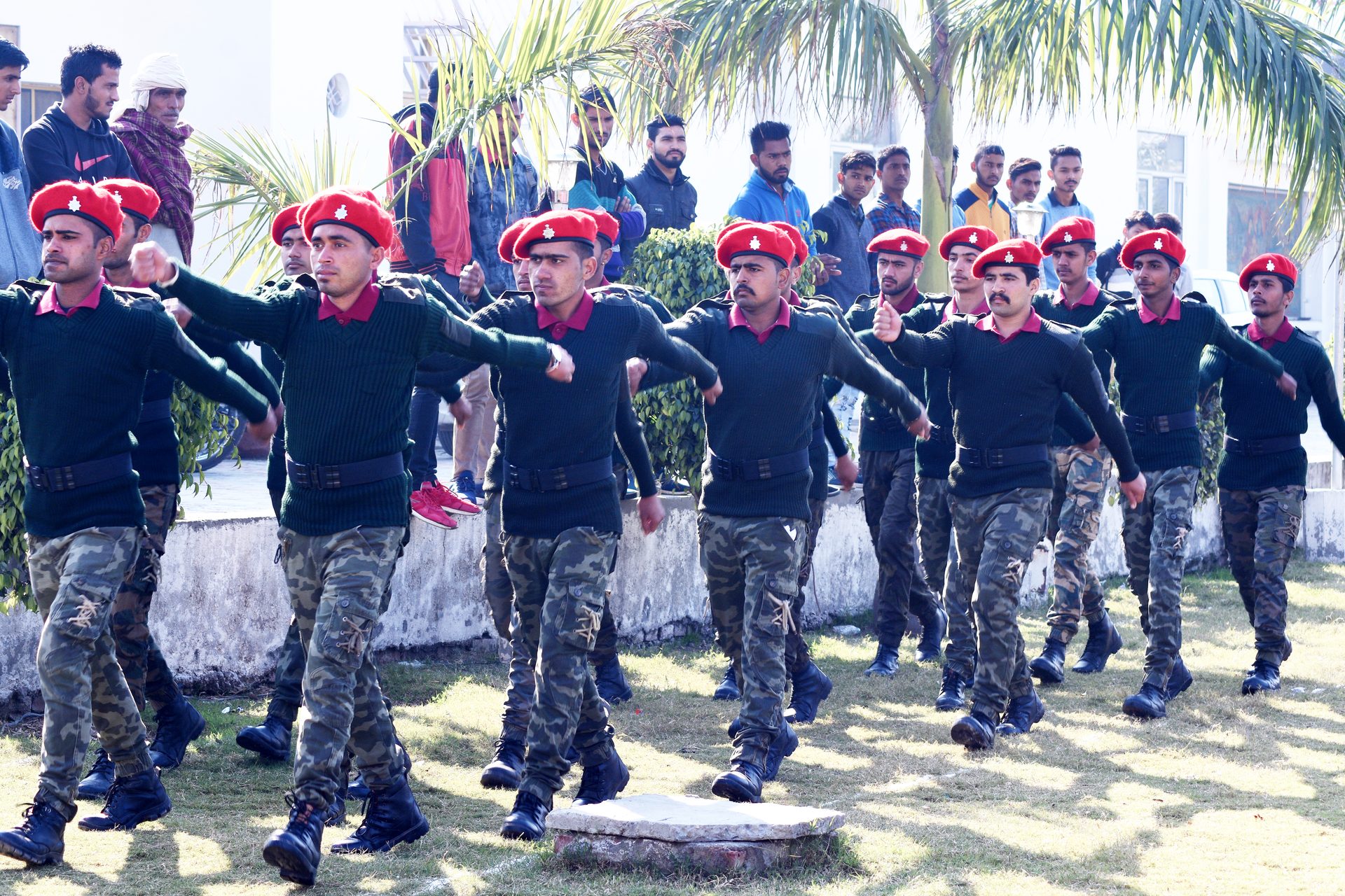Morning Parade 23